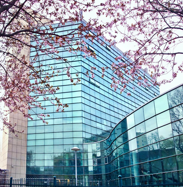 Budynek Centrum